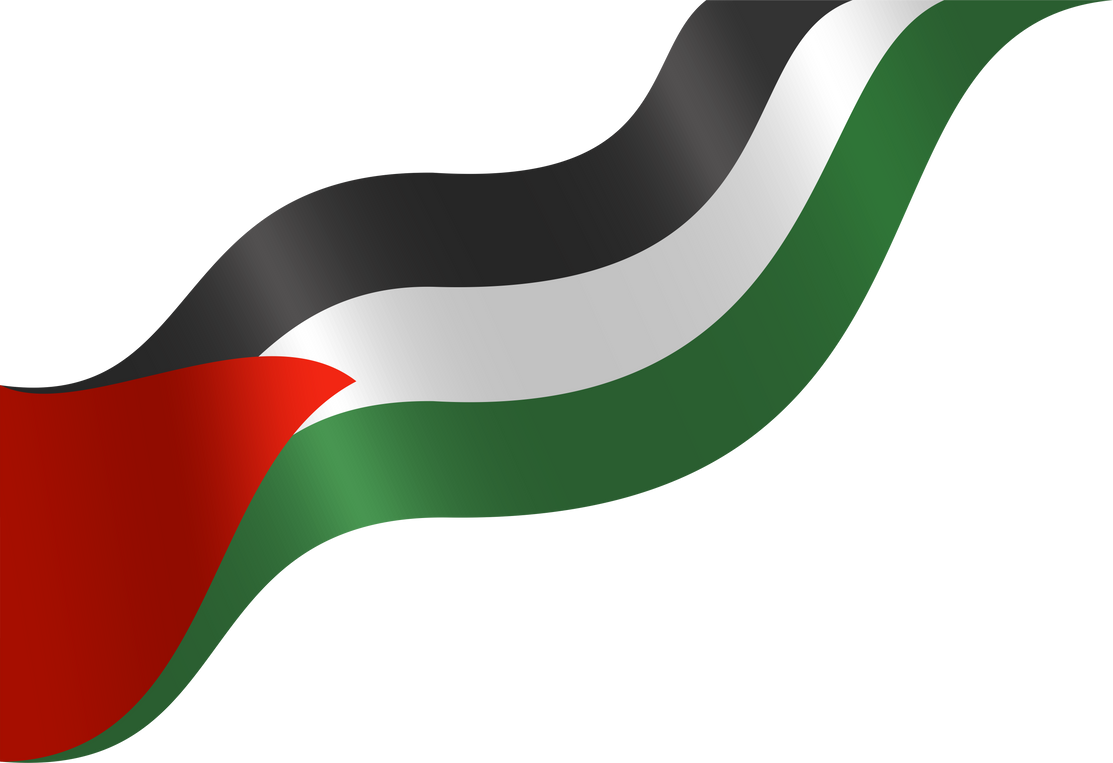 Palestine's Flag